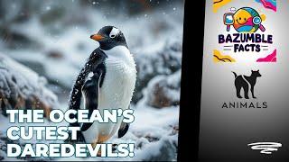 These Penguin Superpowers Will Blow Your Mind!