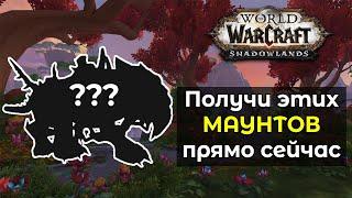 ЭТИ маунты станут недоступны в Dragonflight