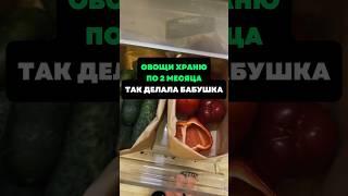 Овощи храню по 2 месяца.Так делала бабушка #лайфхаки #советы #хитрости