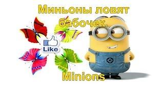 Миньоны ловят бабочек.  Minions and Butterfly.  Мультфильм про миньонов.