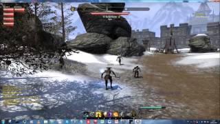 IMMORTALS PvP in Cyrodiil