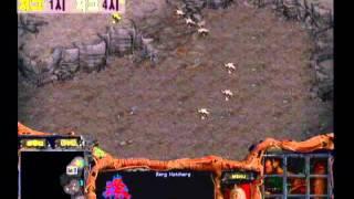 Freechal OSL  H.O.T-Forever vs [z-zone]Byun 2000-09-12  @ Da