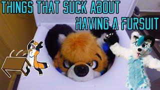 Things that suck about having a fursuit - With Skyehigh Studios