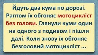  Вершник без Голови! Добірка Анекдотів Українською! Епізод #47