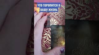 ЧТО ТОРОПИТСЯ В ВАШУ ЖИЗНЬ #Гадание #Таро #Онлайн #shorts Светлана ВЕДА