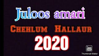 Amari Juloos chehlum ||Hallaur 2020 || Being Hussaini