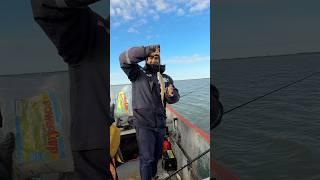 Muy bien Pejerrey #pesca #mdqteam #fishing
