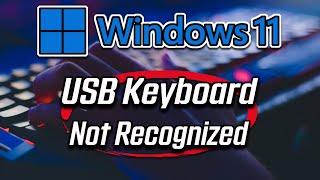 USB Keyboard Not Recognized in Windows 11 FIX [2025]