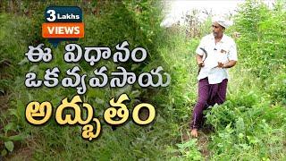 పెట్టుబడి లేని వ్యవసాయం - ఎకరాకు 4 లక్షల సంపాదన | A farmer creating miracles with natural farming |