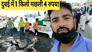 दुबई में 1 किलो मछली 4 रुपया, DUBAI fish market, Dubai Labour Life, Dubai fish worker, Dubai fish