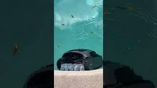 Effortless Pool Cleaning with Beatbot AquaSense