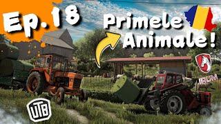 Am CUMPĂRAT primele ANIMALE!Ferma Balkanică! Ep. 18!