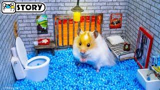  Hamster Escapes the Super Maze for Pets in real life  Homura Ham Pets