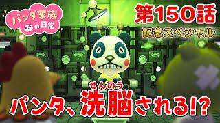 【あつ森アニメ】パンダ家族の日常 第150話「パンタ、洗脳される！？」《謎の組織「良い子研究所」の正体とは…！？｠【150話記念特大スペシャル】