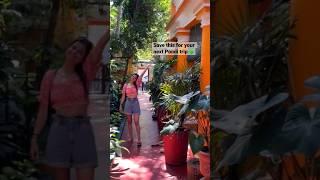 A hidden gem in Pondicherry  -French Guesthouse #youtubeshorts #pondicherry #shorts