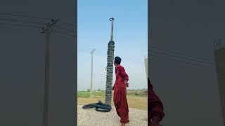 . This Gadget Does the Dirty Work0#shortvideo