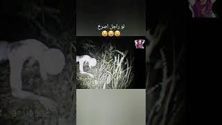 لو راجل اصرخ 