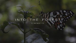 INTO THE FOREST | Cinematic short film | Canon 200D MARK II