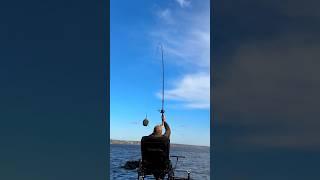 #short открытие фидерного сезона прошло успешно  ️ #fishing #рыбалка #фидернаяловля