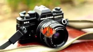 Praktica BCA electronic & "Paon du jour")