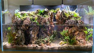 MAKING MY MOUNTAIN ISLAND PALUDARIUM FOR NEW ANT COLONY