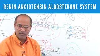 Renin Angiotensin Aldosterone System | RAAS‍️