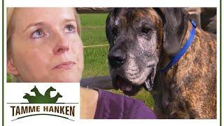 Dogge in Not: Tamme ist die letzte Hoffnung! | Tamme Hanken | Kabel Eins