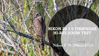 Nikon Z9 Firmware 3.0 Hi Res Zoom Test with Nikon Z 70-200 F2.8