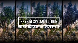 Skyrim SE -Tree Mod Comparison with Velvet Reshade 2023