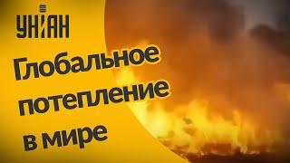 Последствия глобального потепления в мире