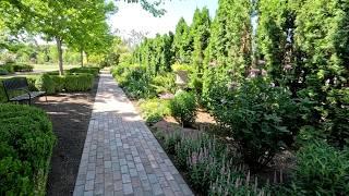 Planting Zinnia Seeds, Sun-Loving Perennials & Cutting Back Salvia! ️️ // Garden Answer