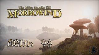 The Elder Scrolls III: Morrowind. Прохождение. Морнхолд (часть 99)