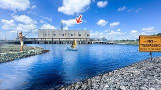 Secret Government Power Plant Was Loaded With Fish!