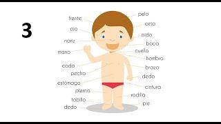 Cuerpo Humano I Human Body in Spanish Language (Part 3)