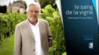 Mission à Pessac - Le Sang de la Vigne