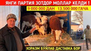 ЯНГИ ПАРТИЯ ЗОТДОР МОЛЛАР КЕЛДИ СИЗ КУТГАН НАРХДА !!! ХОРАЗМ БОЗОР