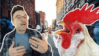 The REAL Story Behind 'Why Did the Chicken Cross the Road?'