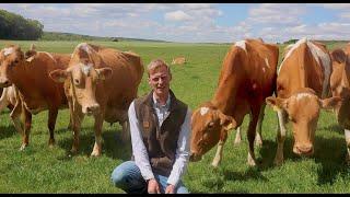 Lacey's Family Farm: Seven generations of farming in the Chilterns