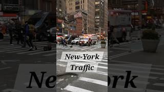 New York City #travel #2024 #vacation #drone #nyc #treanding #birds #dji #trend #bus #eating #road