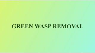 GREEN WASP REMOVAL - ENVIRONMENTALLY RESPONSIBLE  WASP CONTROL & REMOVAL! 100% Natural Pest Control!