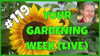 How to Be an Organic Gardener (Q&A)