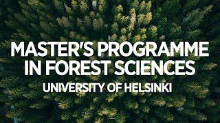 Master's Programme in Forest Sciences | University of Helsinki