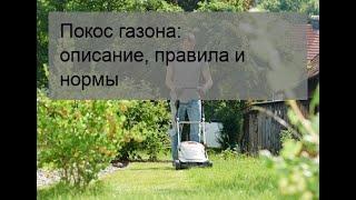 Покос газона: описание, правила и нормы