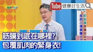 王健宇：【筋膜】到底在哪裡？就像包覆肌肉的「緊身衣」！肌肉痠痛好不了? 一直吃「止痛藥」不治本！「深前線」筋膜沾黏？「日常伸展」就能助舒緩！【健康好生活】