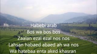 Nancy Ajram  ah we noss lyrics