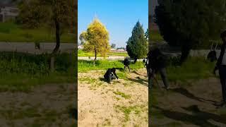 Jbit dehradun b.sc agriculture students