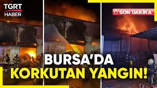 #SONDAKİKA | Bursa'da Korkutan Yangın! 22 İtfaiye Ekibi Müdahale Ediyor - TGRT Haber