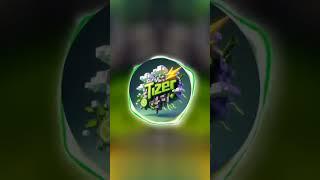 TIZER - Tizeriston Intro
