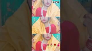 video aadivasi music officialaadivasitimli Rakesh vasuniya MP69 VK bhuriya Rahul bhuriya aadivasi 