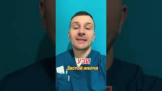 застой желчи, желчный пузырь, желчь, холецистит, отток желчи,